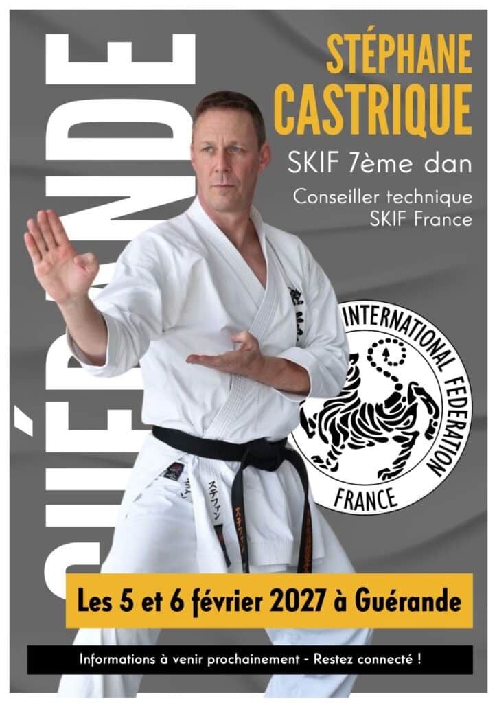 Stage avec Stéphane Castrique – 7ème DAN SKIF – Février 2027